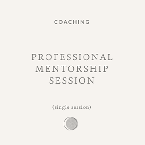 professional-mentorship-session